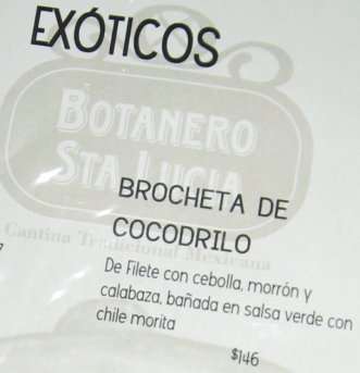 comete este lagarto
