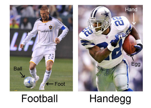 HandEgg HandEgg