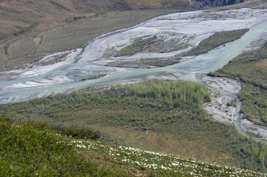 Alaska Alaska