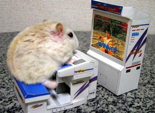 Hamster Gamer Hamster Gamer