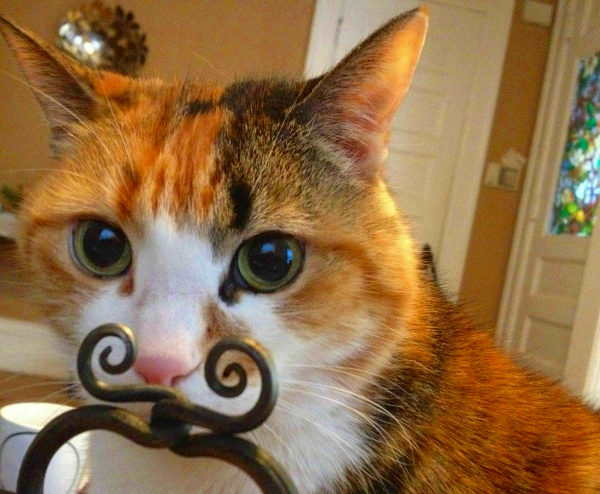 Moustache