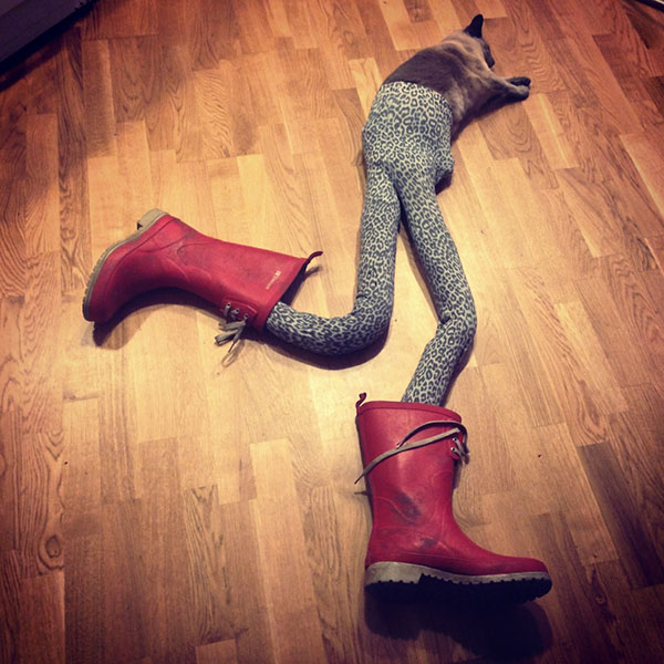 Weird Weird