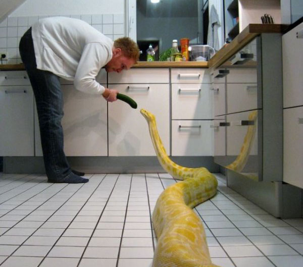 Y de cena que hay? Y de cena que hay?
