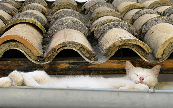 Zzzzzzzzzzzzzzzzzz Zzzzzzzzzzzzzzzzzz