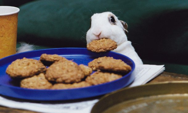 Nom Nom Nom Nom Nom Nom