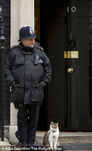 Chief Mouser to the Cabinet Office