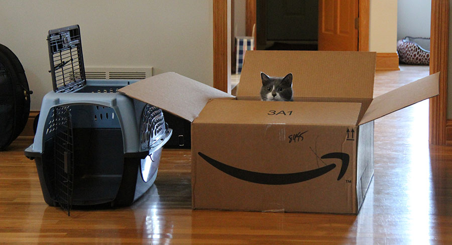 Llegaron los #LDV ? yo sólo esperaba la caja... Llegaron los #LDV ? yo sólo esperaba la caja...