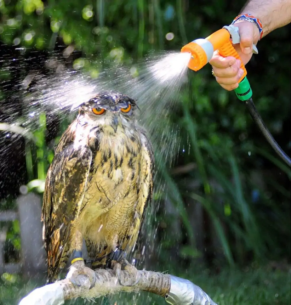 Refrescá el viernes con unos #LDV