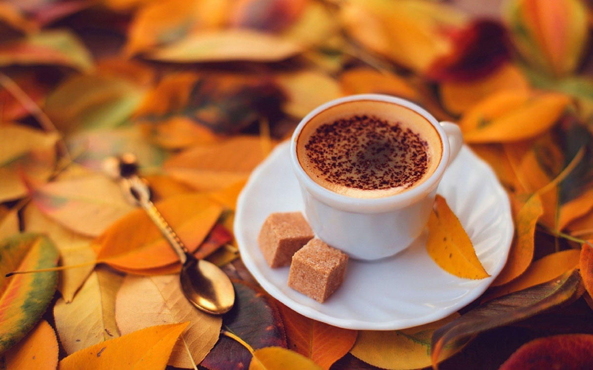 Cafecito, links y otoño, combinación perfecta #LDV