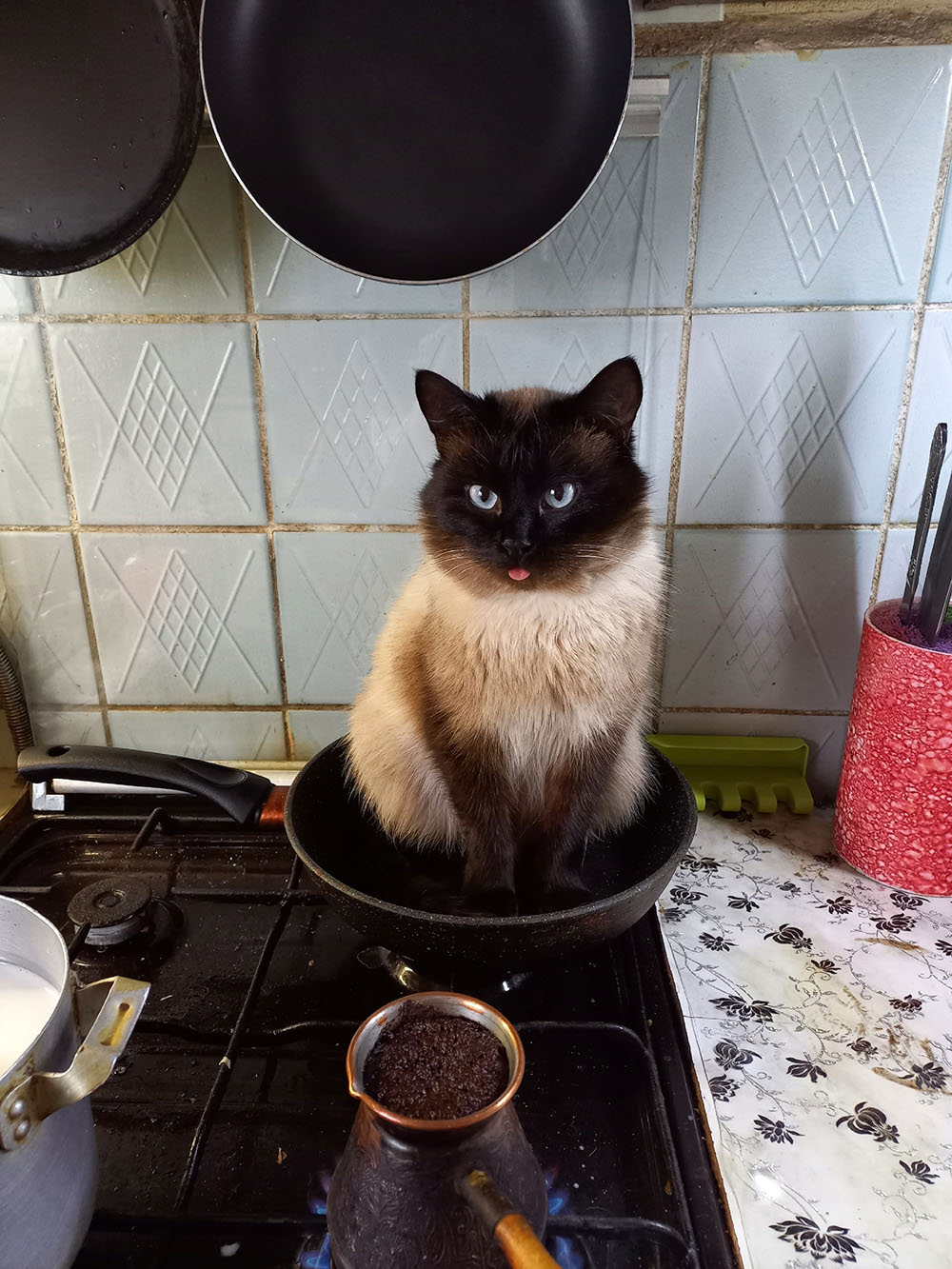 Preparate un cafecito y dedicale unos minutos a los Links de Viernes