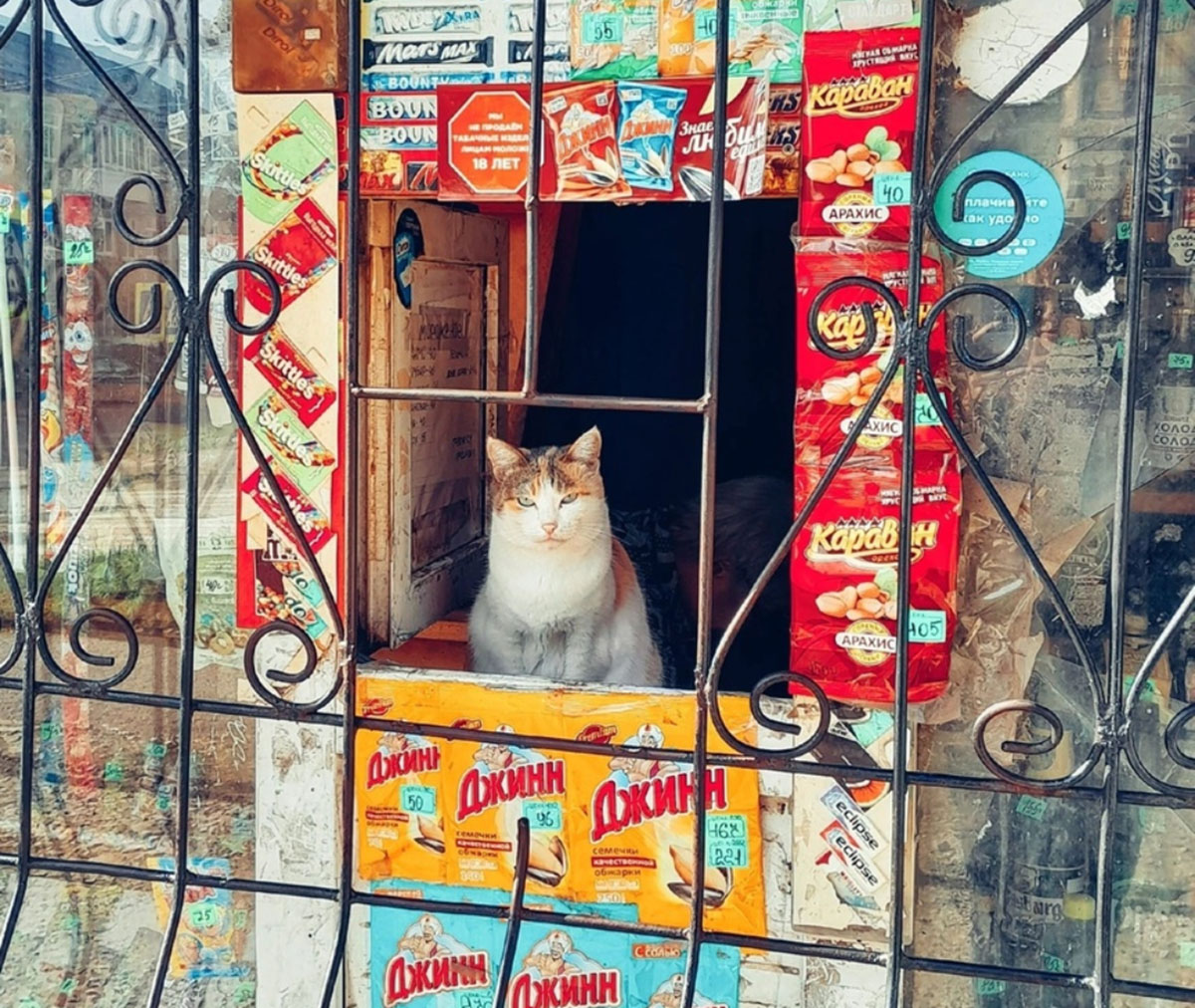 Qué quiere? Ruleta?