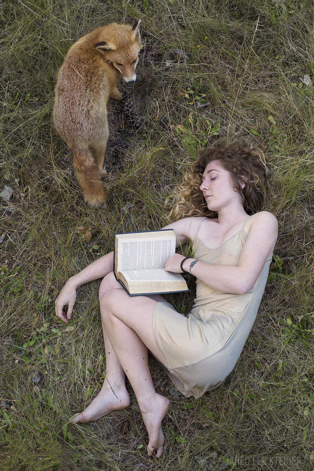 Es un buen viernes para leer links