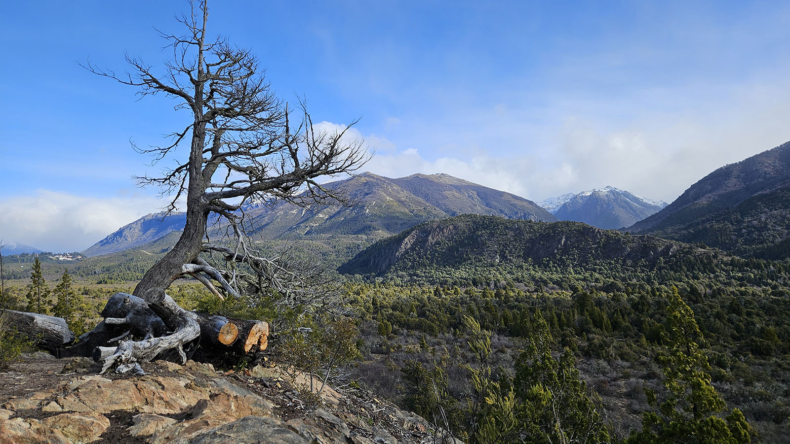 Ni se dieron cuenta pero me tomé unos días, ya volví