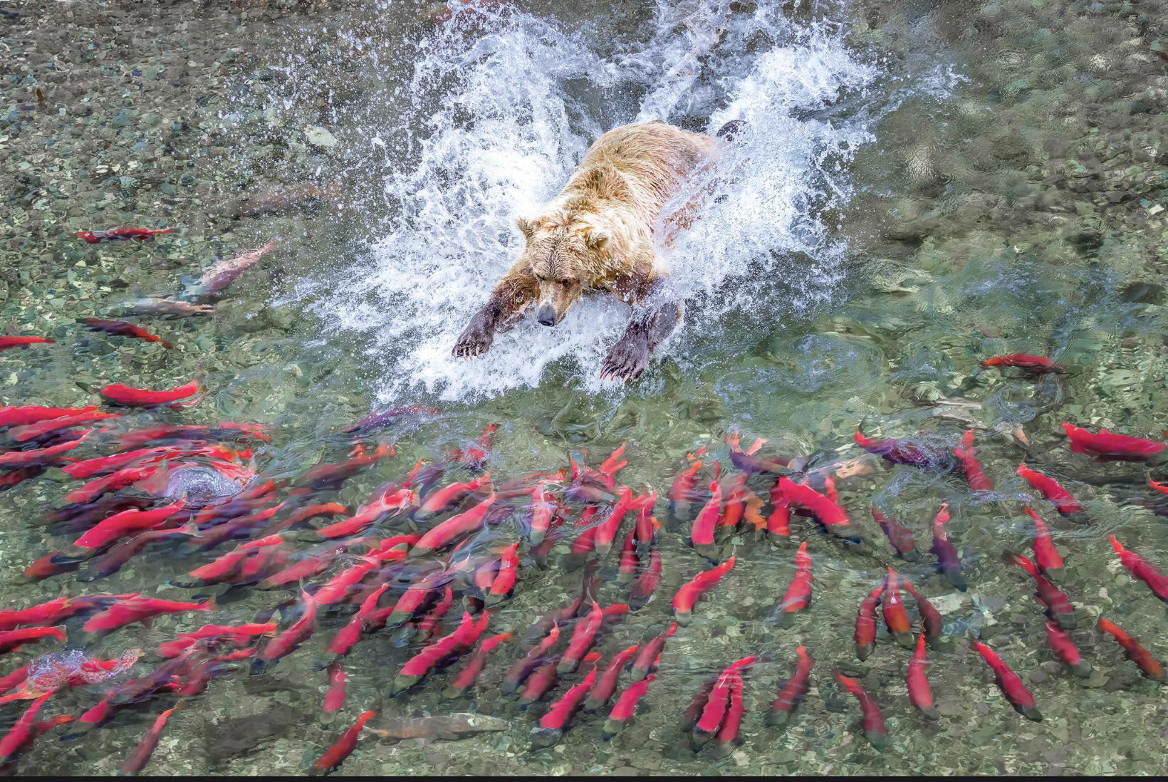 Jueves caluroso de pileta y ruleta rusa
