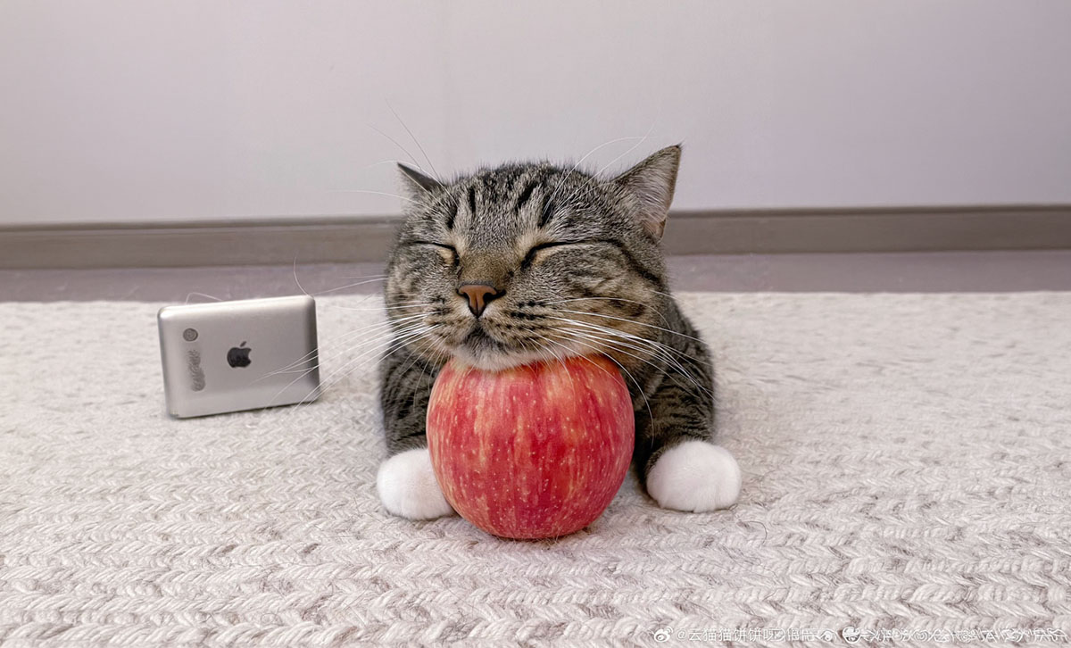 Se viene el finde con unos links