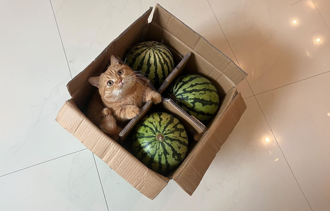 Si ya te pusiste a jugar con las cajas, es que te faltan links